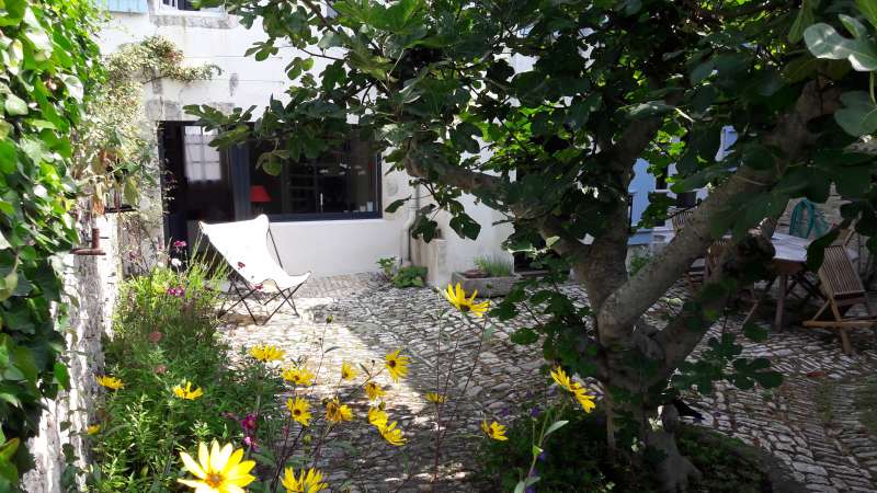 Photo 1 : JARDIN d'une maison située à Ars en Ré, île de Ré.