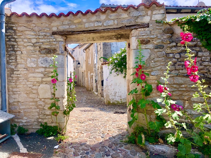 Photo 24 : NC d'une maison située à Saint-Martin-de-Ré, île de Ré.