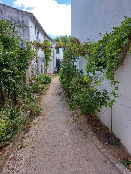 Photo 36 : NC d'une maison située à Saint-Clément-des-Baleines, île de Ré.