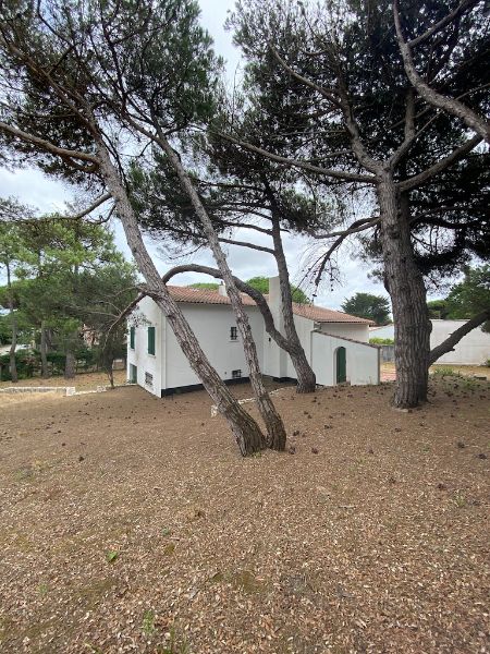 Photo 6 : JARDIN d'une maison située à Le Bois-Plage-en-Ré, île de Ré.