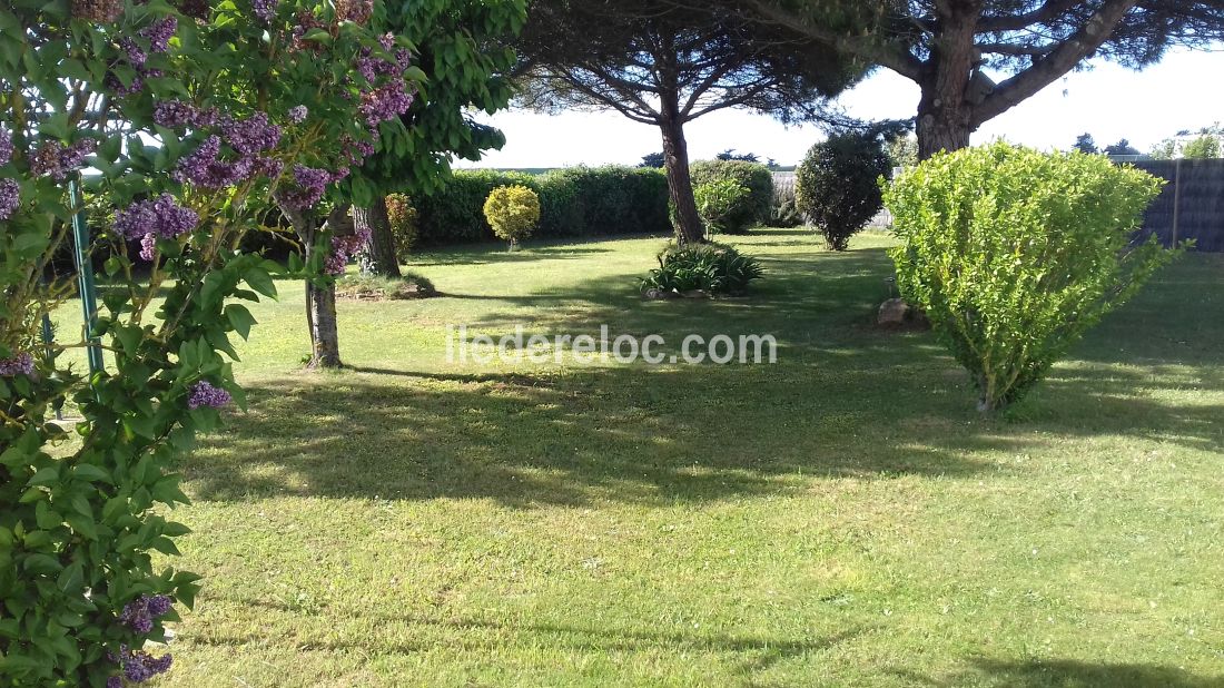 Photo 14 : JARDIN d'une maison située à La Flotte-en-Ré, île de Ré.