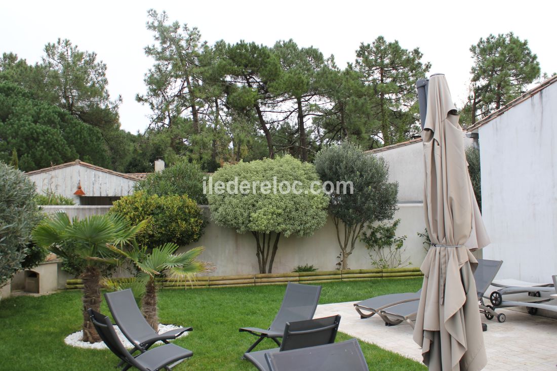 Photo 39 : TERRASSE d'une maison située à La Flotte-en-Ré, île de Ré.