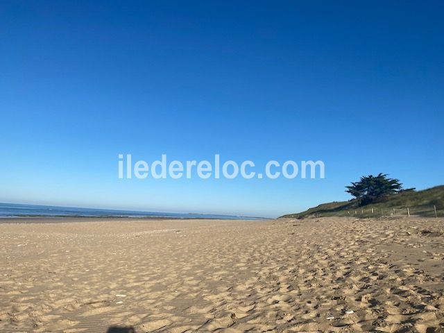 Photo 22 : NC d'une maison située à Le Bois-Plage-en-Ré, île de Ré.