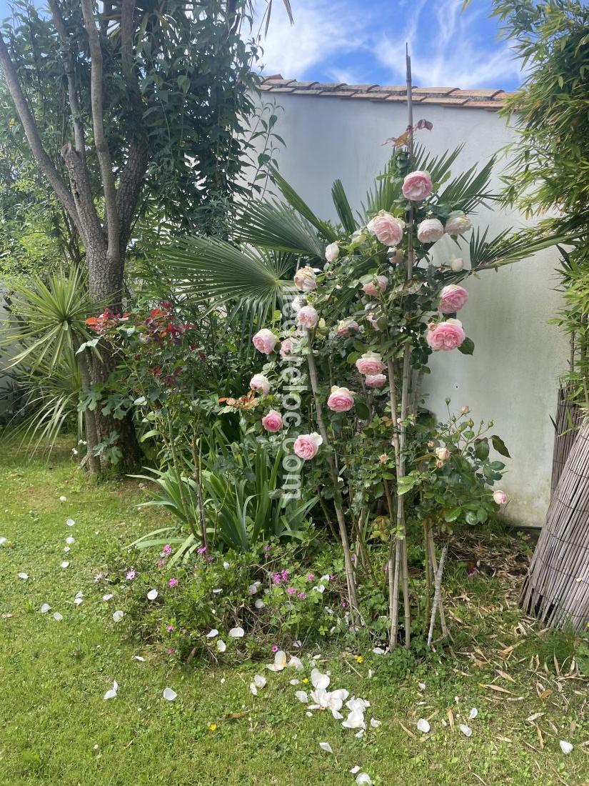 Photo 20 : JARDIN d'une maison située à Sainte-Marie-de-Ré, île de Ré.