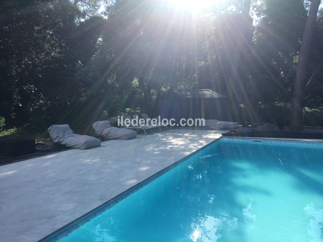 Photo 5 : TERRASSE d'une maison située à Rivedoux-Plage, île de Ré.