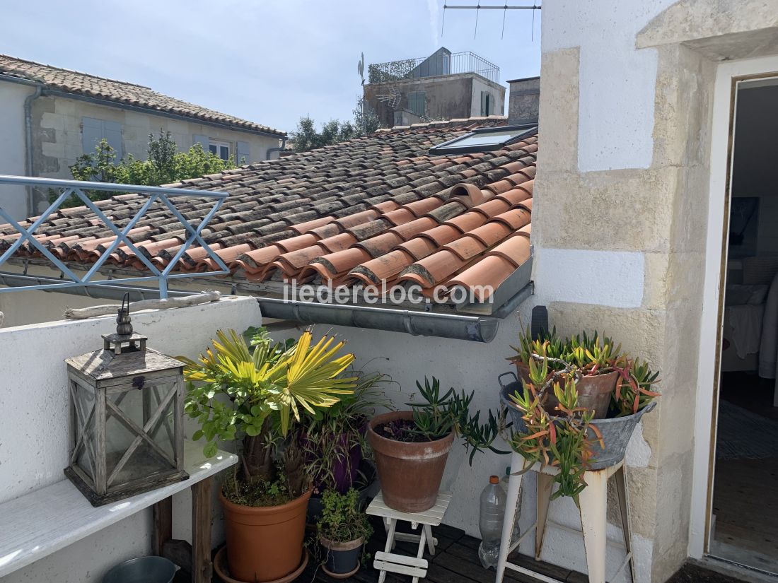 Photo 20 : TERRASSE d'une maison située à Saint-Martin-de-Ré, île de Ré.