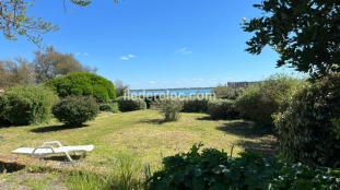 Ile de Ré:Charmante maison accès direct à la mer - 6 personnes