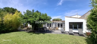 Ile de Ré:Les acacias