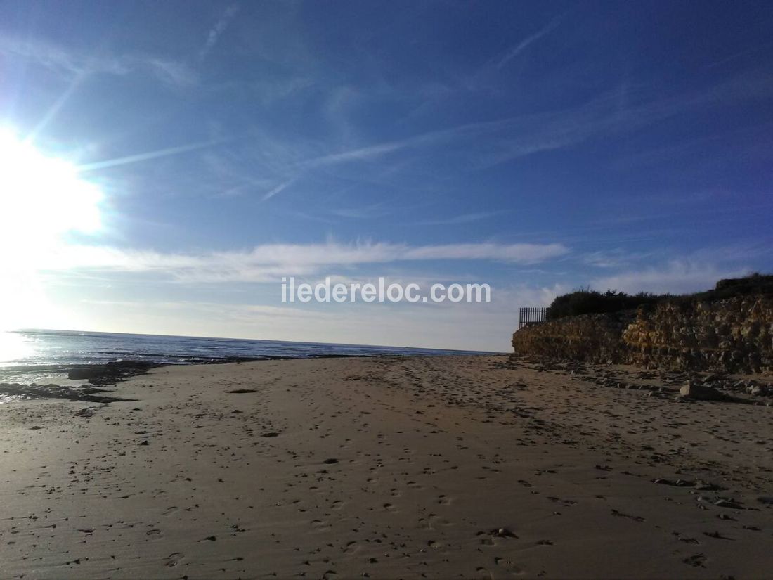 Photo 25 : NC d'une maison située à Sainte-Marie-de-Ré, île de Ré.