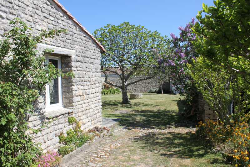 Photo 22 : TERRASSE d'une maison située à Saint-Clément-des-Baleines, île de Ré.