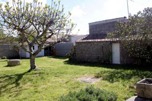 Photo 25 : JARDIN d'une maison située à Saint-Clément-des-Baleines, île de Ré.