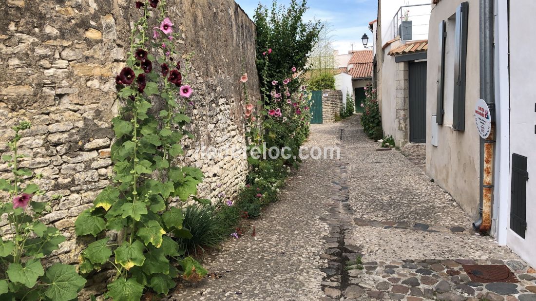 Photo 23 : NC d'une maison située à La Flotte-en-Ré, île de Ré.