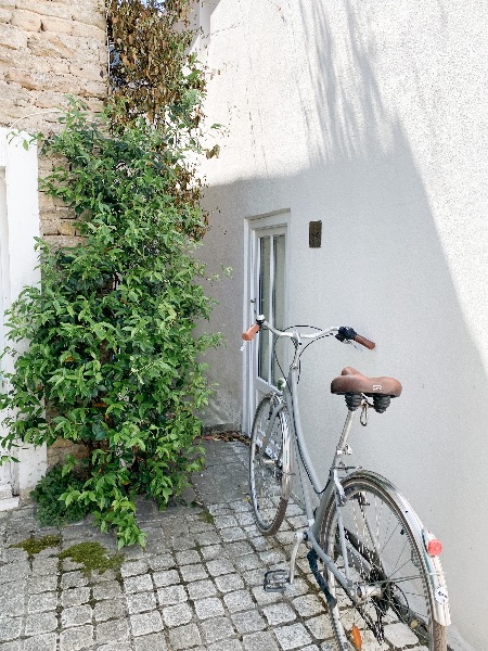 Photo 83 : AUTRE d'une maison située à Les Portes-en-Ré, île de Ré.