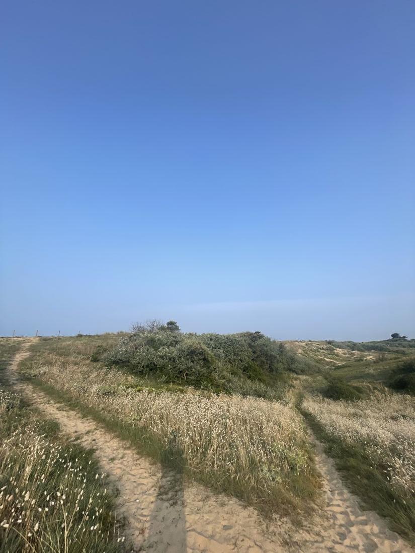 Photo 46 : AUTRE d'une maison située à Le Bois-Plage-en-Ré, île de Ré.