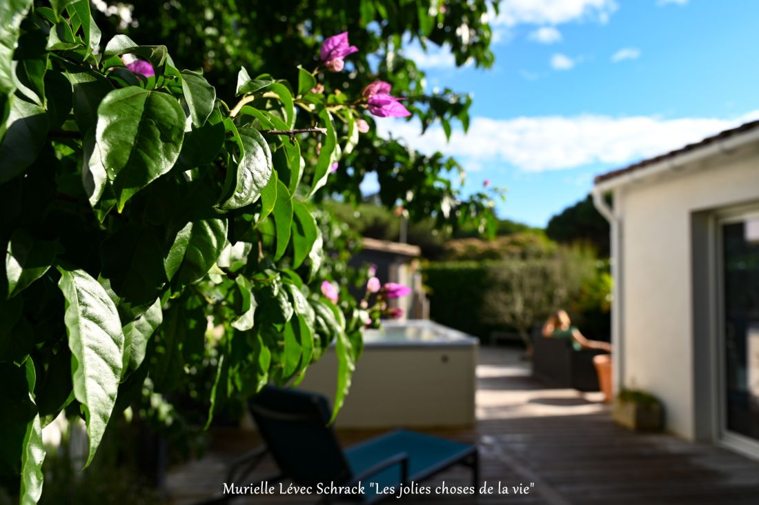 Photo 55 : TERRASSE d'une maison située à Le Bois-Plage-en-Ré, île de Ré.