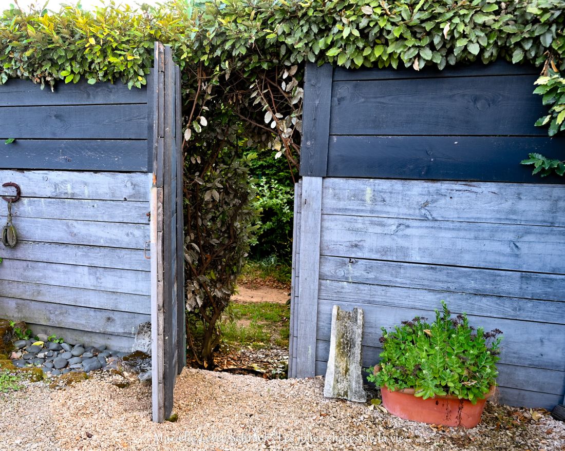 Photo 44 : NC d'une maison située à Le Bois-Plage-en-Ré, île de Ré.