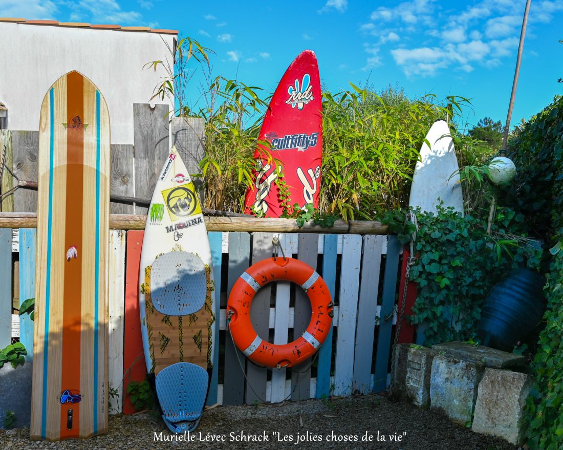 Photo 43 : JARDIN d'une maison située à Le Bois-Plage-en-Ré, île de Ré.