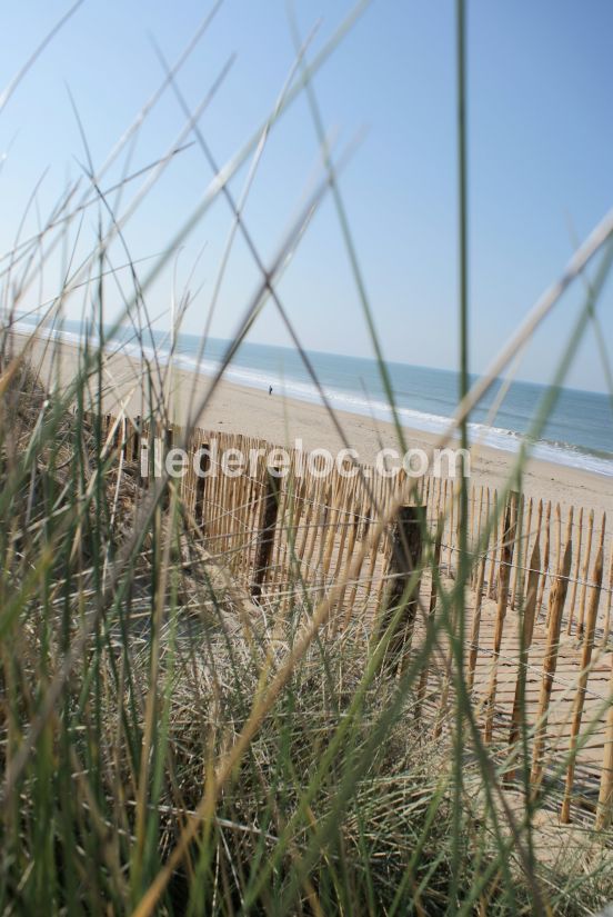 Photo 23 : AUTRE d'une maison située à Le Bois-Plage-en-Ré, île de Ré.