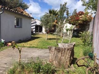 Photo 4 : JARDIN d'une maison située à Rivedoux-Plage, île de Ré.