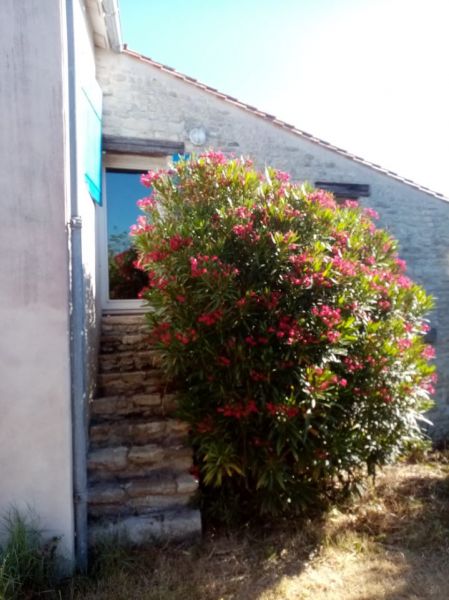 Photo 16 : EXTERIEUR d'une maison située à Le Bois-Plage, île de Ré.