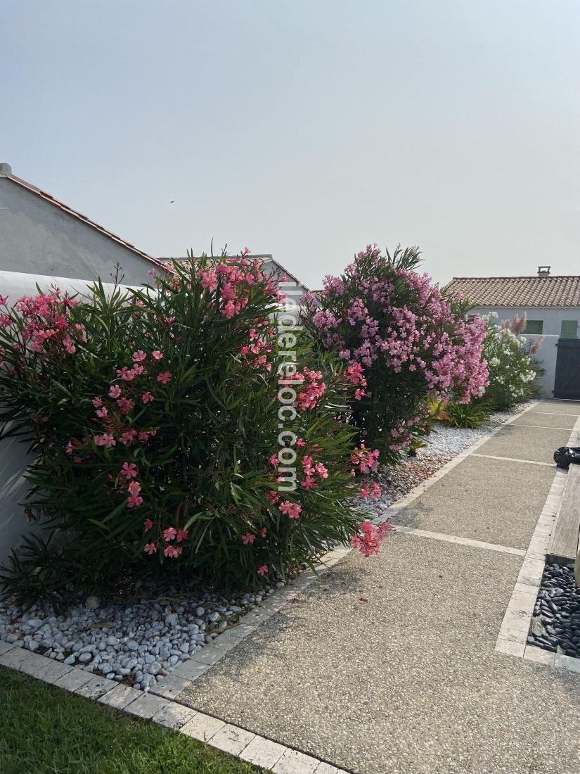 Photo 20 : EXTERIEUR d'une maison située à La Flotte-en-Ré, île de Ré.