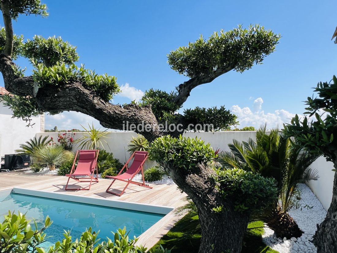 Photo 25 : NC d'une maison située à Sainte-Marie-de-Ré, île de Ré.