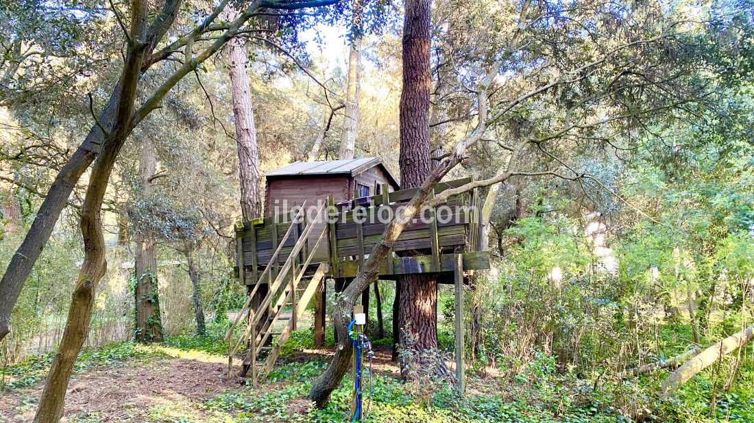 Photo 61 : NC d'une maison située à Le Bois-Plage-en-Ré, île de Ré.