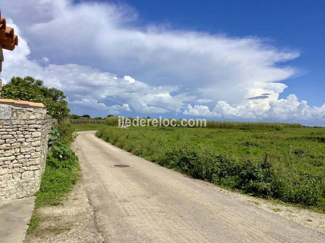 Photo 35 : NC d'une maison située à Sainte-Marie-de-Ré, île de Ré.