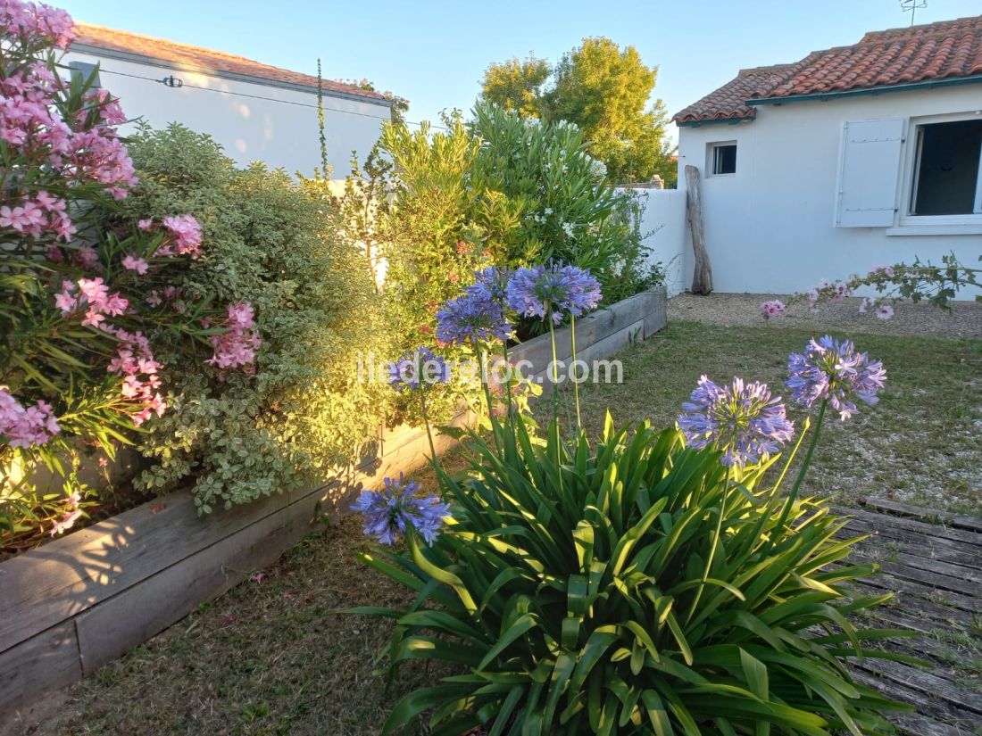 Photo 18 : JARDIN d'une maison située à Ars en Ré, île de Ré.