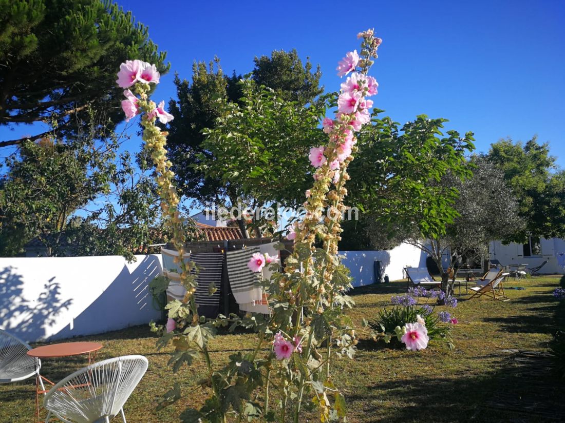 Photo 17 : JARDIN d'une maison située à Ars en Ré, île de Ré.