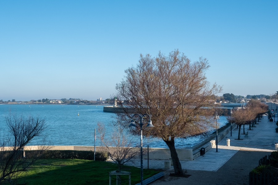 Photo 13 : NC d'une maison située à La Flotte-en-Ré, île de Ré.