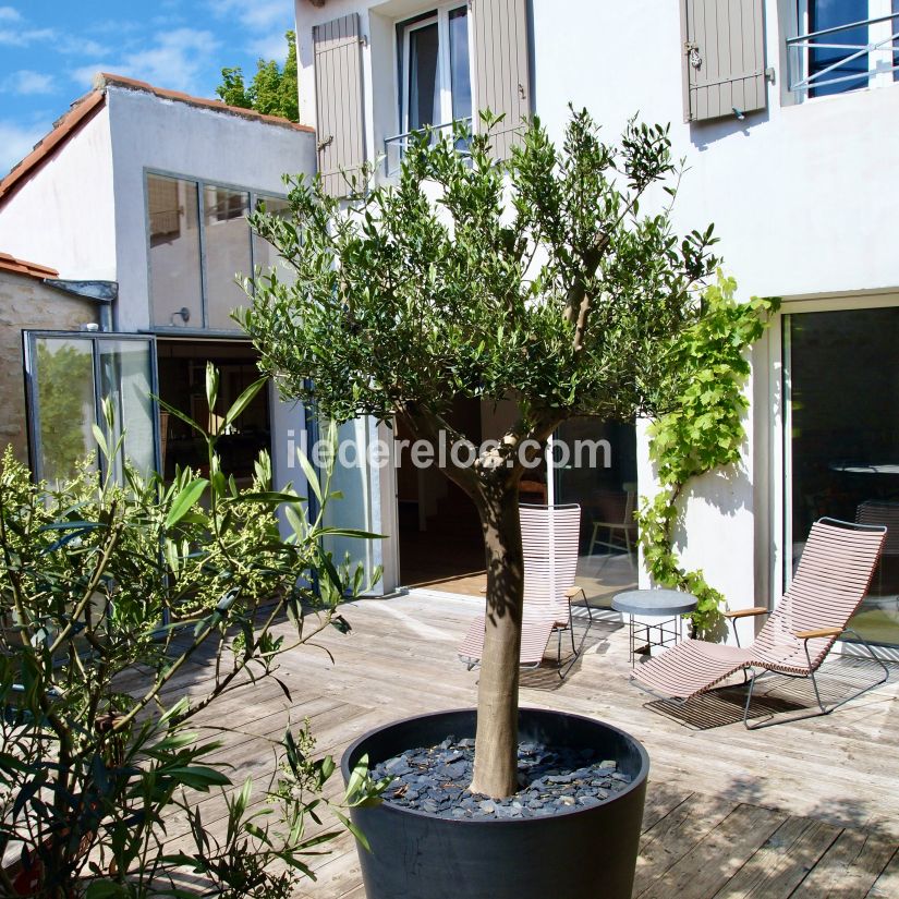 Photo 4 : NC d'une maison située à Ars en Ré, île de Ré.