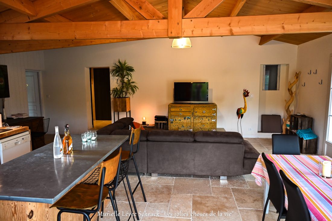 Photo 19 : SEJOUR d'une maison située à Le Bois-Plage-en-Ré, île de Ré.