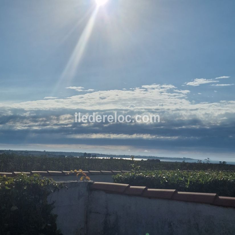 Photo 17 : EXTERIEUR d'une maison située à La Flotte-en-Ré, île de Ré.