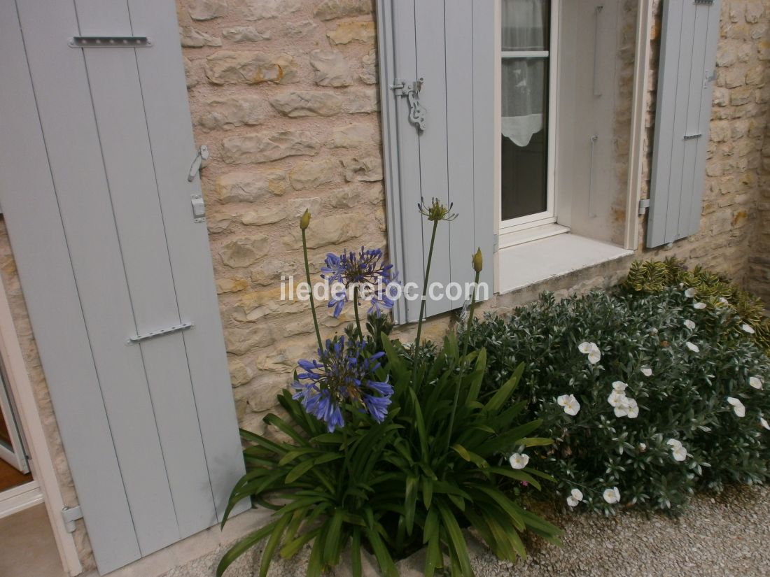 Photo 7 : NC d'une maison située à Saint-Martin-de-Ré, île de Ré.