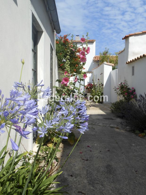 Photo 17 : EXTERIEUR d'une maison située à Ars en Ré, île de Ré.