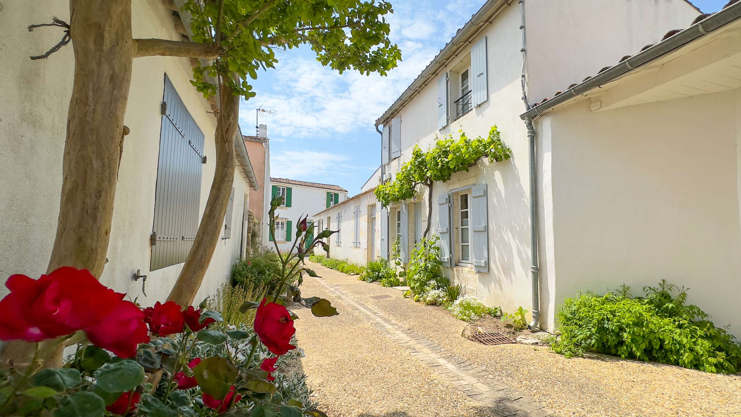 Photo 16 :  d'une maison située à La Couarde-sur-mer, île de Ré.