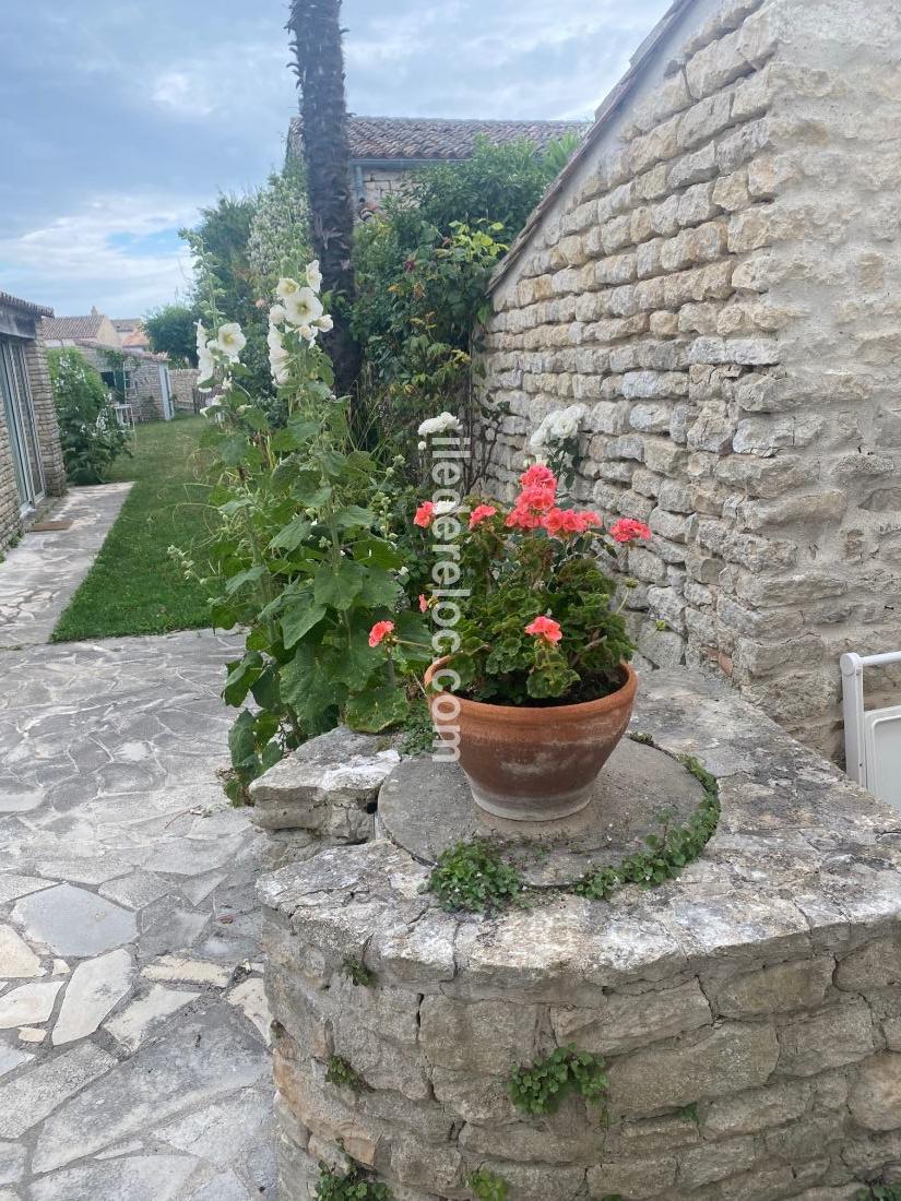 Photo 17 : JARDIN d'une maison située à Ars en Ré, île de Ré.