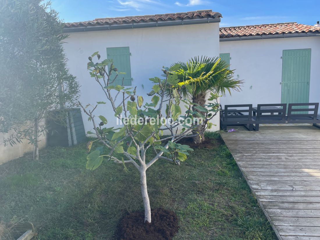 Photo 43 : JARDIN d'une maison située à La Flotte-en-Ré, île de Ré.