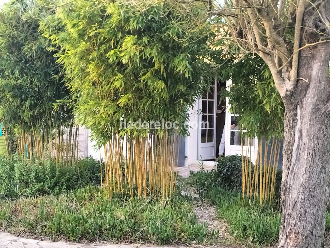 Photo 24 : NC d'une maison située à Loix, île de Ré.