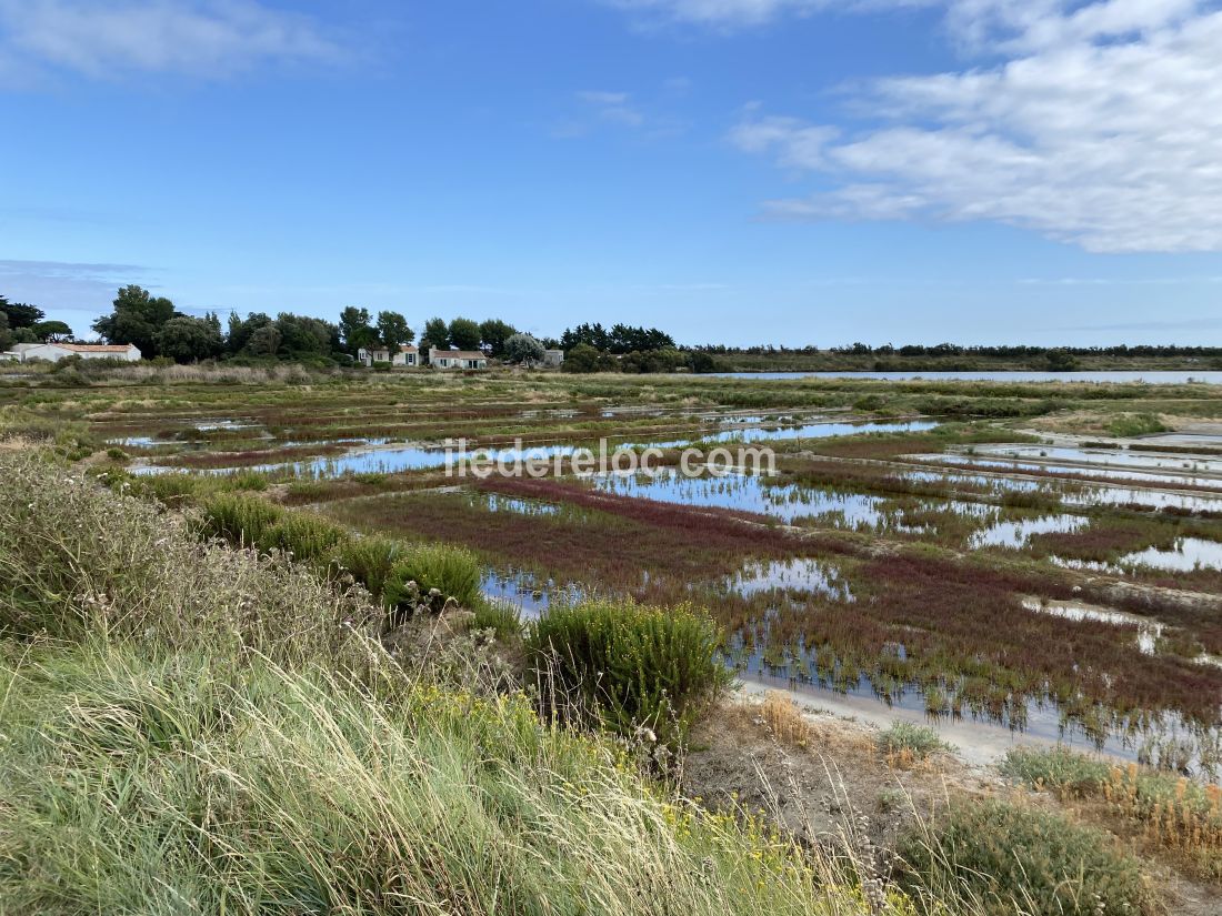 Photo 16 : NC d'une maison située à Les Portes-en-Ré, île de Ré.