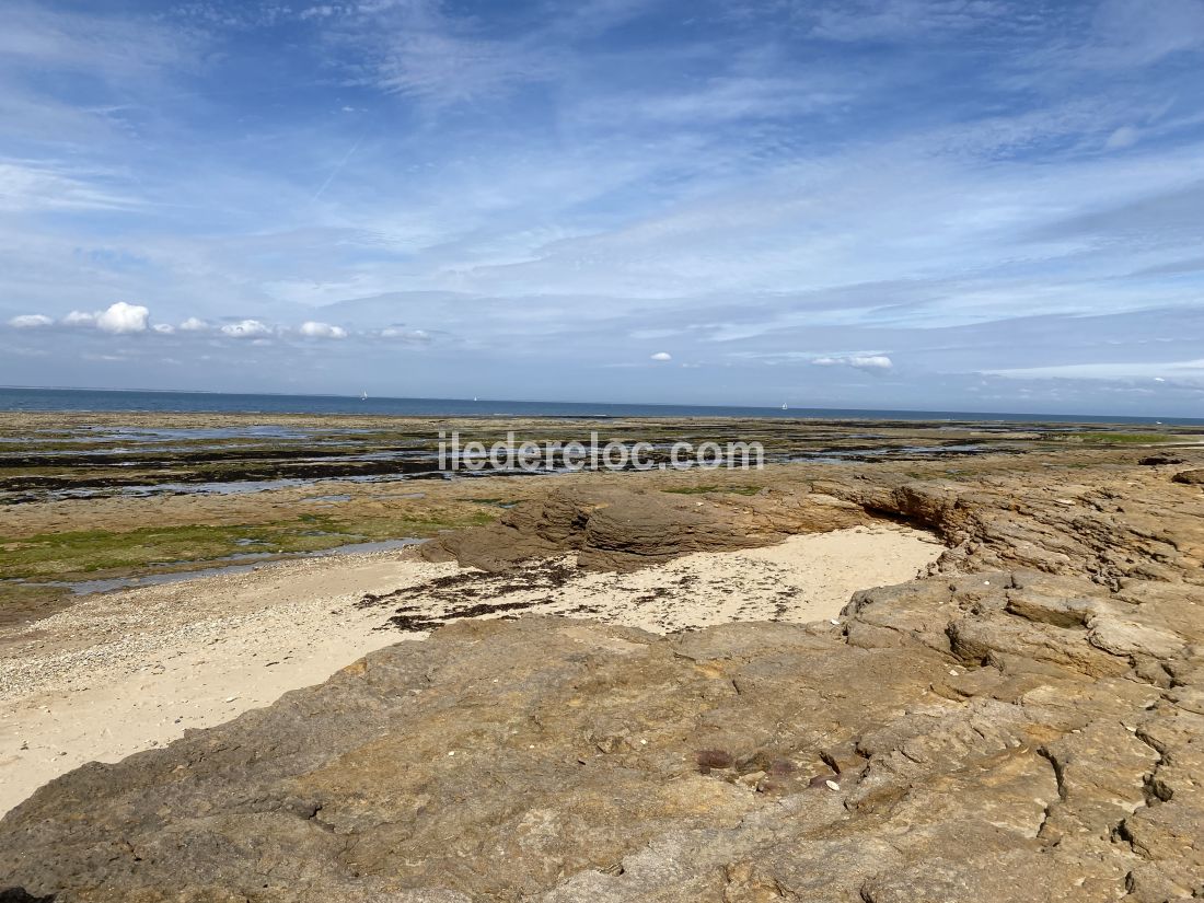 Photo 18 : NC d'une maison située à Les Portes-en-Ré, île de Ré.