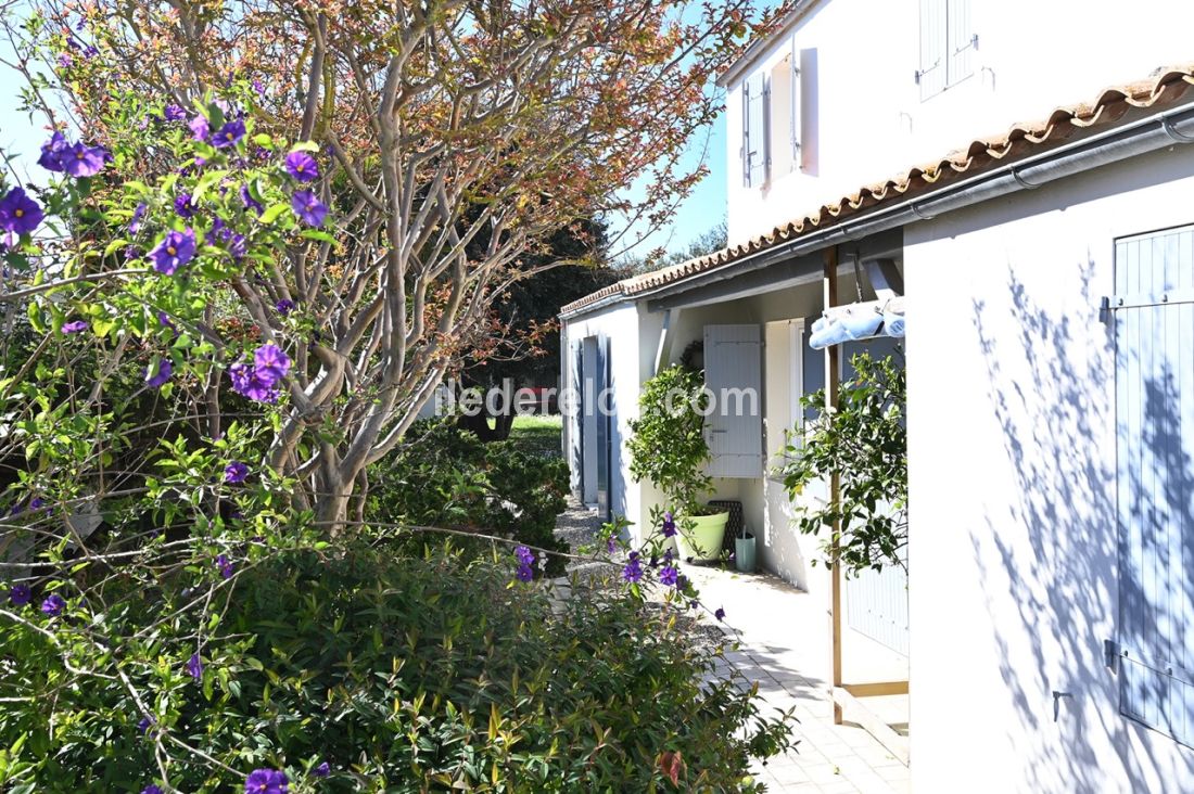 Photo 25 : NC d'une maison située à Saint-Martin-de-Ré, île de Ré.