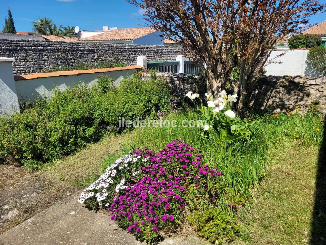 Photo 16 : NC d'une maison située à La Flotte-en-Ré, île de Ré.