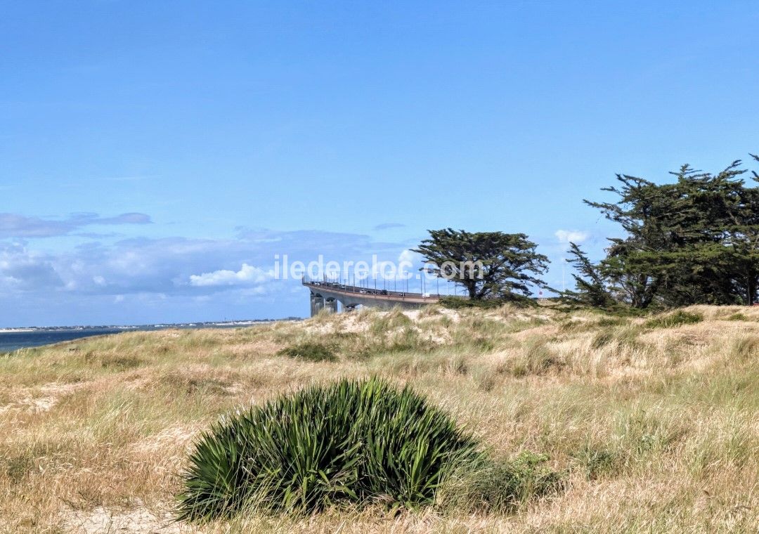 Photo 49 : NC d'une maison située à Rivedoux-Plage, île de Ré.