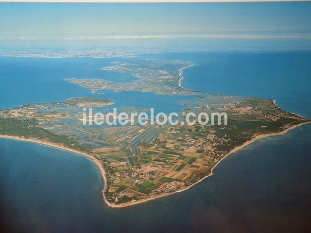 Photo 41 : NC d'une maison située à Sainte-Marie-de-Ré, île de Ré.