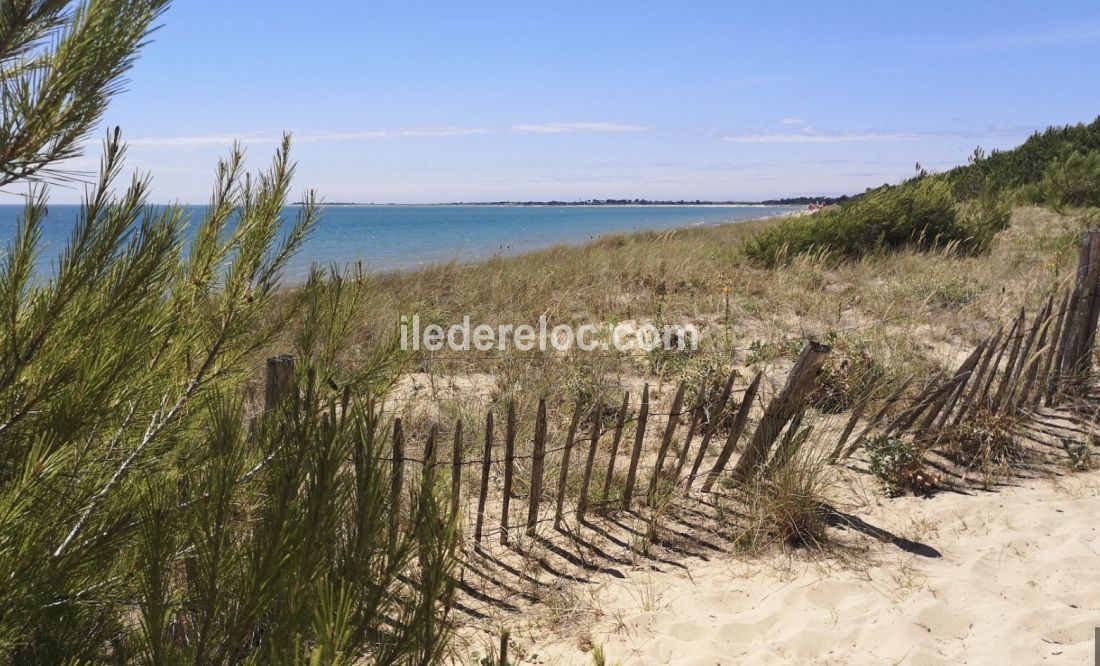 Photo 40 : NC d'une maison située à Sainte-Marie-de-Ré, île de Ré.