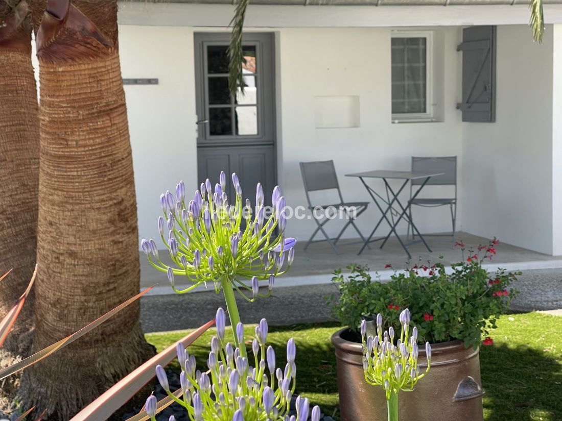 Photo 3 : NC d'une maison située à Saint-Martin-de-Ré, île de Ré.