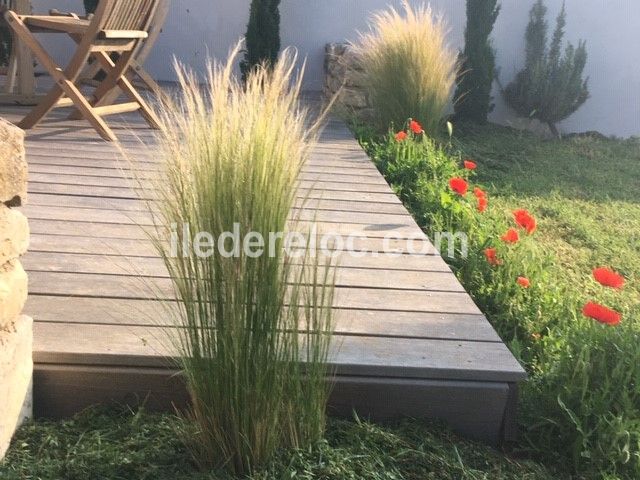 Photo 15 : TERRASSE d'une maison située à Loix, île de Ré.