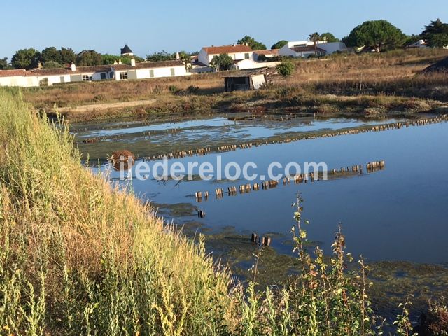 Photo 36 : EXTERIEUR d'une maison située à Loix, île de Ré.